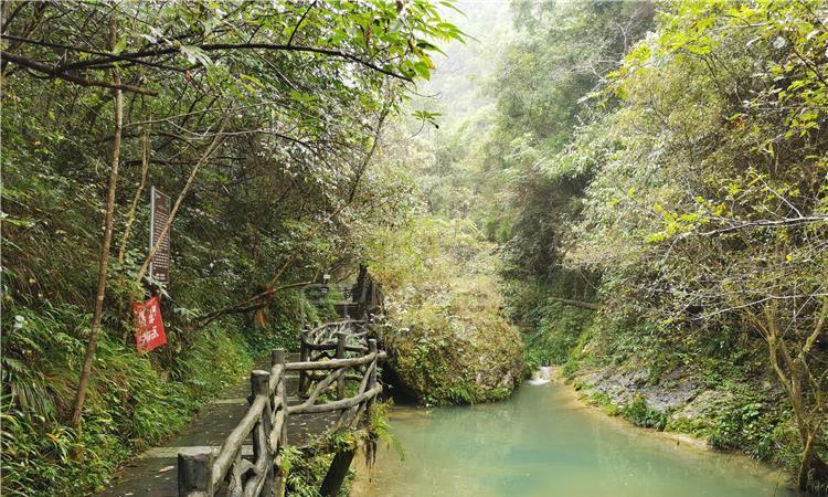 共青团三门峡市委：微光成炬 向光而行
